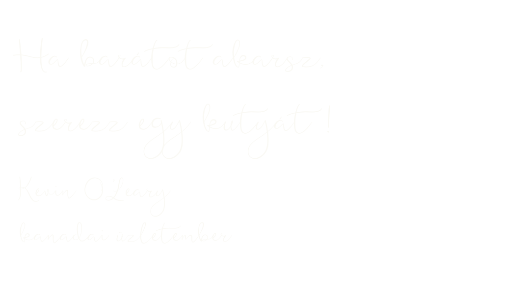 Idézet - Ha barátot akarsz, szerezz egy kutyát. - Kevin O'Leary, kanadai üzletember