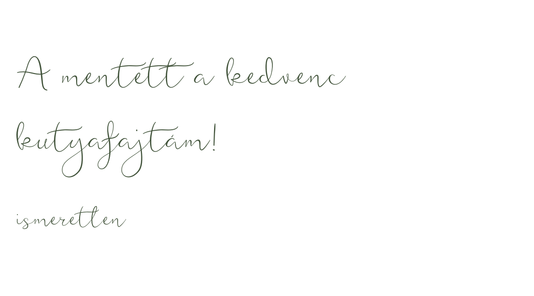 Idézet: A mentett a kedvenc kutyafajtám! - ismeretlen szerzőtől